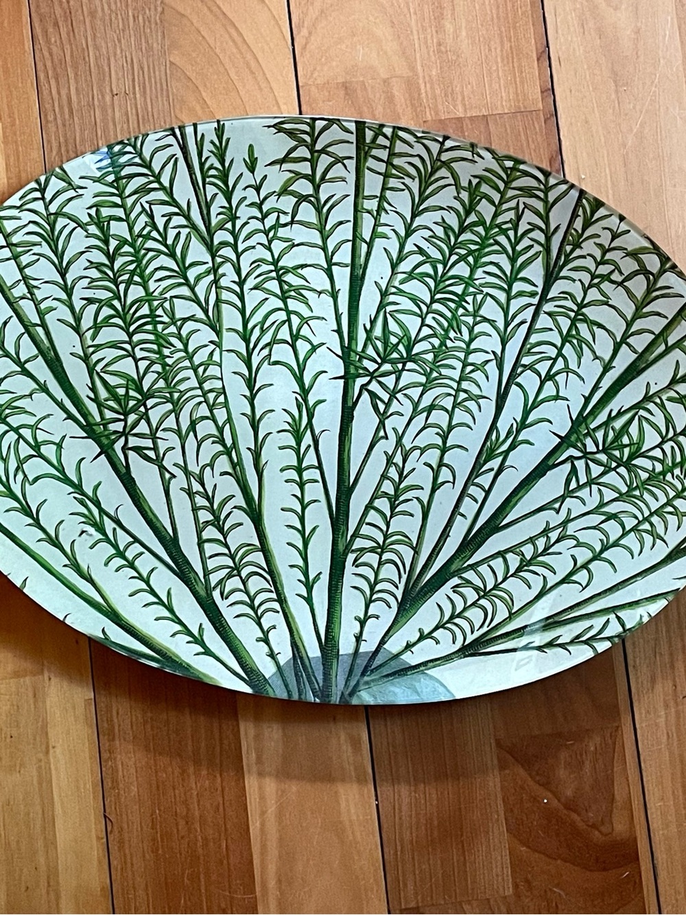 John Derian Large Fan Coral plate